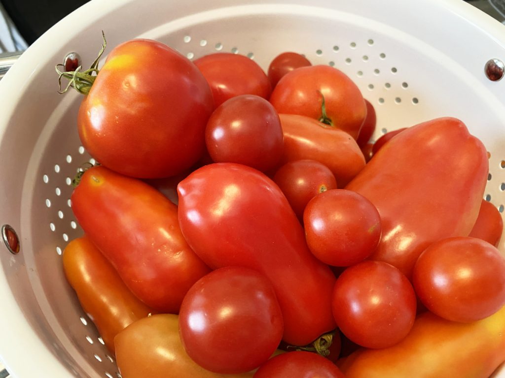 fresh tomatoes in strainer