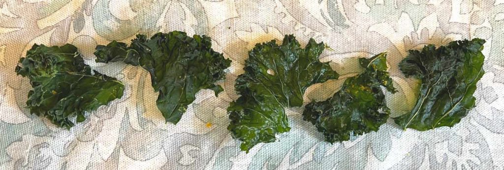 individual kale chips in a row