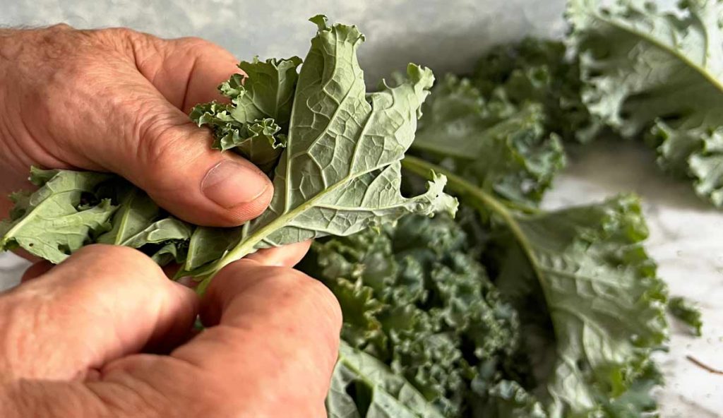 removing ribs from kale
